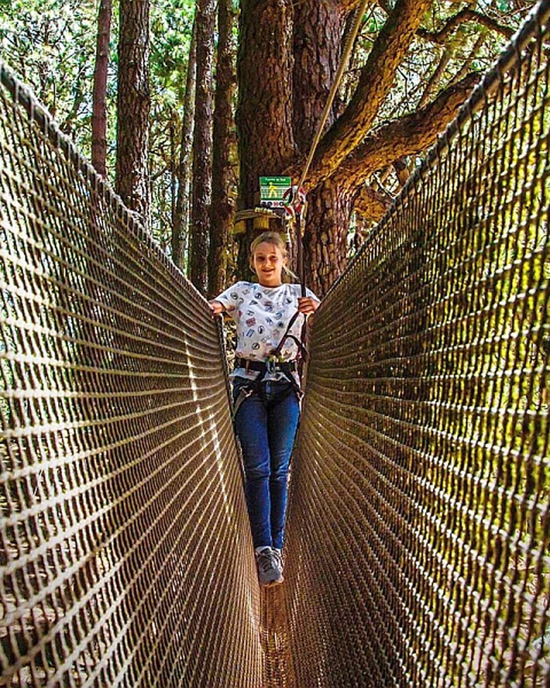 Zip-line park at Forestal Park